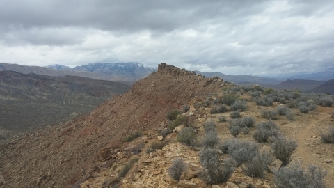 The top of the trail. 