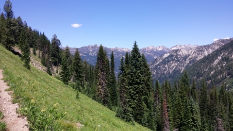 View east into the Minam from the trail.