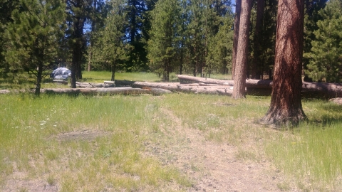 Walton Lake Trail #809 - Ochoco National Forest, Prineville, Oregon