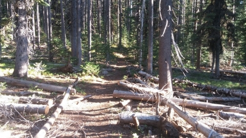 Flagstaff Trail - Wallowa Mountains