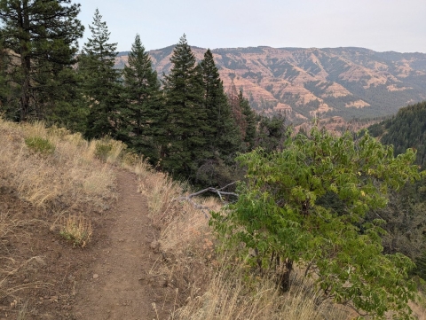 Rock Spring Trail #1928 - Eagle Cap Wilderness, Wallowa Mountains