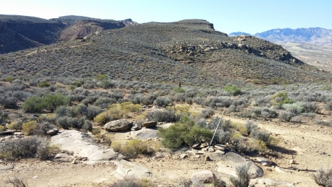 This is what the trail works with.