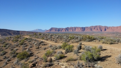 View north of the red cliffs from near the top of the mesa. 