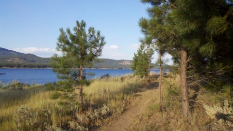 Shoreline Trail at Phillips Lake