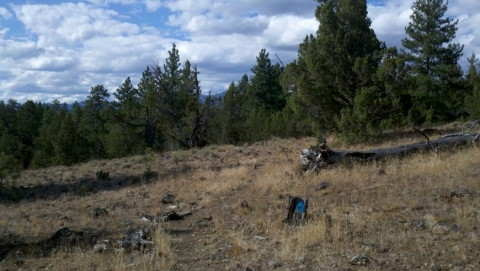 High above, on a rim of rocks.