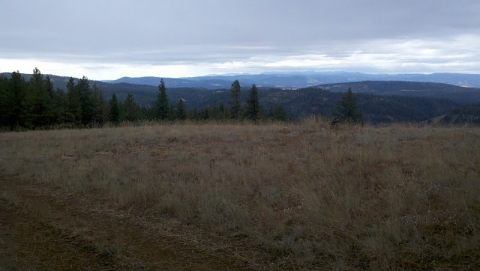 The view from Long Ridge