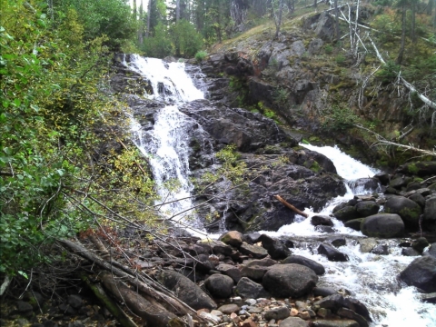 Hunter Falls Trail