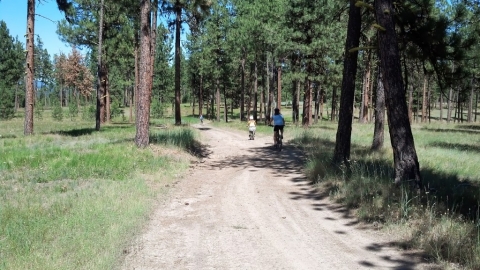 Spring Creek MTB River Loop