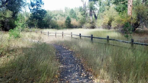 Birdtrack Springs Nature Trail