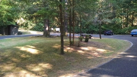 The parking area.