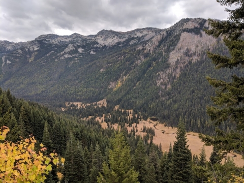 North Minam Meadows seen from the Bowman Trail.