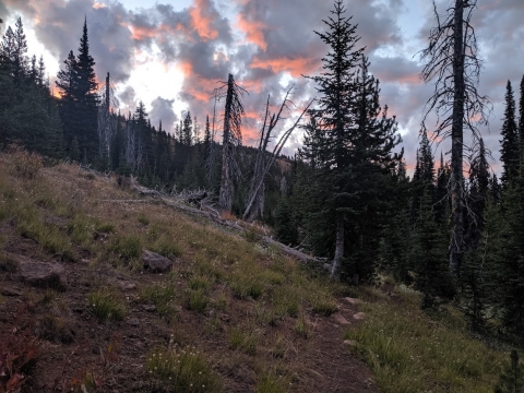 Sunrise in September on the trail, looking up at the China Cap Ridge Trail