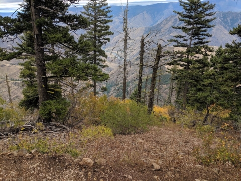 Hat Point Trail 1752 - Hells Canyon, Imnaha, Oregon