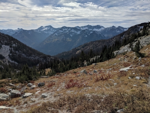 View from top of Granite Gulch, just after the fire in October 2019