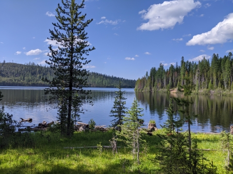 Overview of Olive Lake