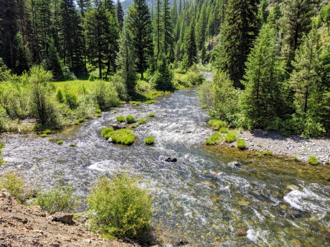 Confluence of Lake Creek & NFJD River