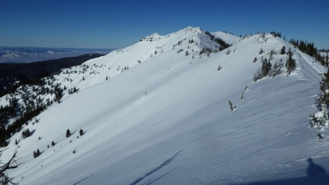 Western aspects, looking toward the summit. 