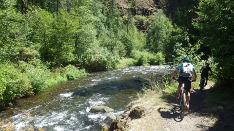 South Fork Walla Walla River Trail