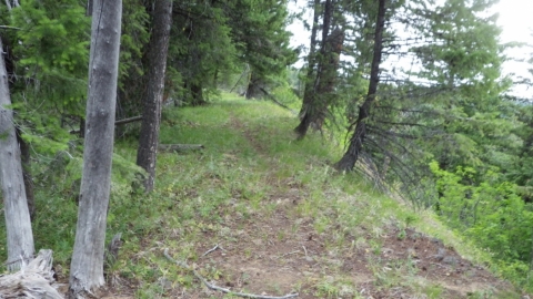 Hoodoo Trail - Mountain Biking La Grande Watershed - Mountain Biking ...