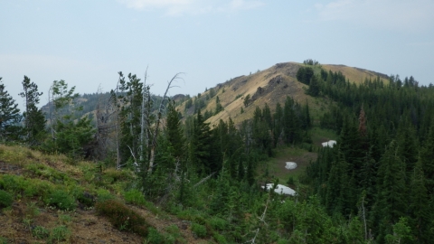 The sidehill wilderness section seen from Huckleberry Mountain. The Baker Trail is faintly visible in the middle of the picture, traversing across the slope.