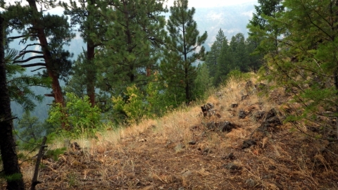 Randonee Race Course - Eastern Oregon Backcountry Festival