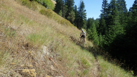 Sketchy side-hilling above the creek. 