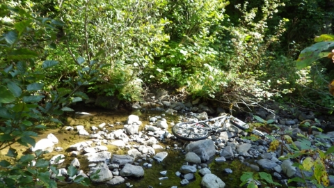 Five Points Creek is where the trail deposits you. The starting point is in the bushes there.