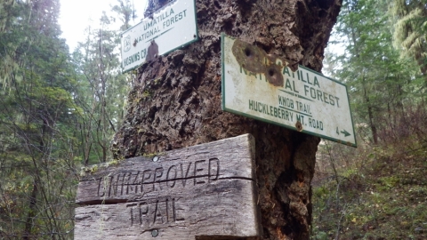 Bear Creek Trail