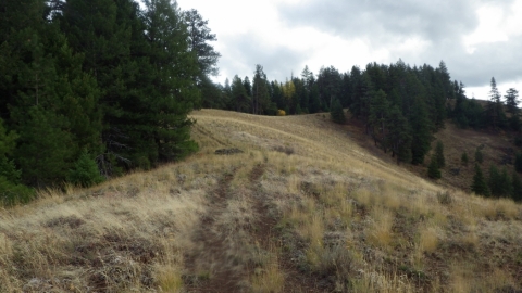 This is about where the double track ATV trail peters out and you follow the ridge the rest of the way down. 