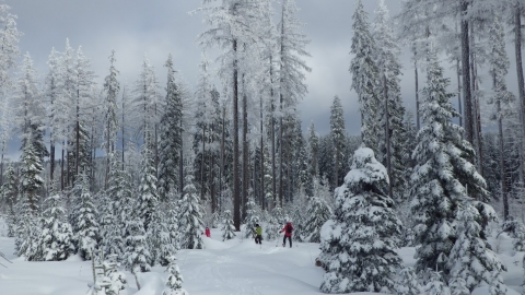 Winter Recreation at Andies Prairie