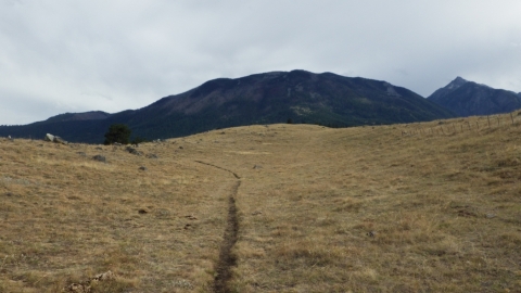 South Fork Imnaha Trail #1816 - Wallowa Mountains, Oregon