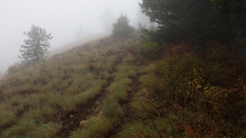 ATV track down the top of the ridge.