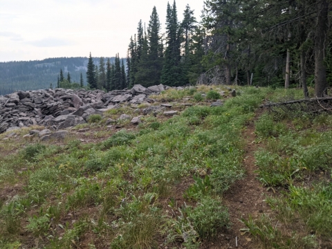 Hiking along some rock piles.