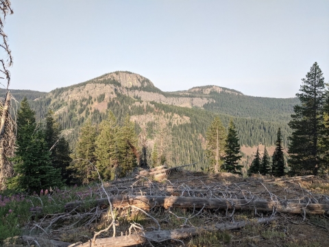 Beautiful panorama of the entire Dunns Bluff cliff walls above Big Canyon.