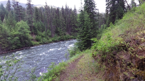 Minam River Trail
