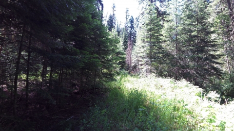 Encountering a fence in the wilderness. High Hat Butte and China Cap are visible in the distance on the right.