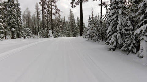 Palmer Junction to Lookout Mountain Loop - Snowmobiling Elgin, Oregon