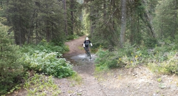 Creek crossing near the bottom where it turns to road. 