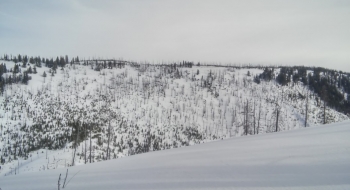 Some skiable terrain along the way.
