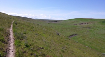 Vineyard Trail