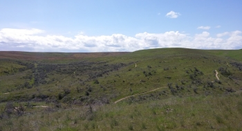 Trails as far as the eye can see. 