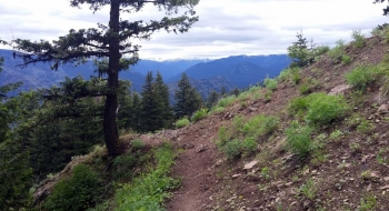 Looking south into the Eagle Cap