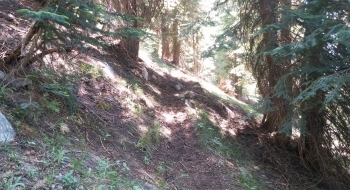 Pre-fire pictures on the steep slopes.