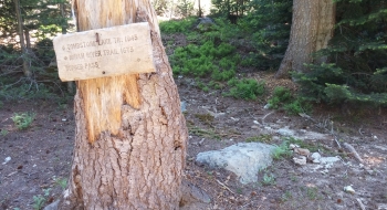 Tombstone Lake Trail intersection