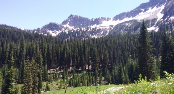 Meadow at Elk Creek with the ridge above Tomstone Lake seen in the background.