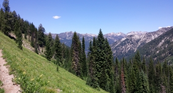 View east into the Minam from the trail.