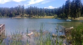 Near the fishing dock