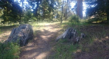 One of the few places the trail climbs in elevation