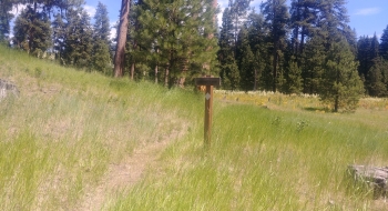 Start to the Round Mtn. Trail
