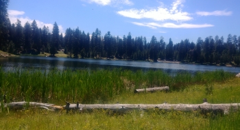 Western shore